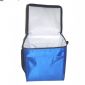 210D Polyester Budget Basic Can Cooler Bag small picture