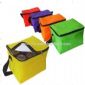 PP Non-Woven Cooler Bags small picture