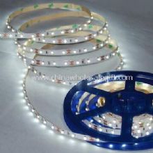 LED Strip Light with 12V DC Working Voltage images