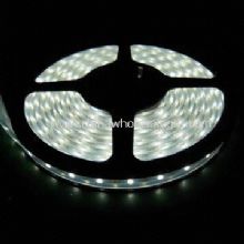 Wasserdichte SMD LED Streifen mit weißer Farbe ausgeben images