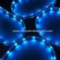 3-in-1-5050 SMD LED Strip Streifen in wasserdichter Silikon Tube mit Farbe wechselnden und UV-beständig small picture