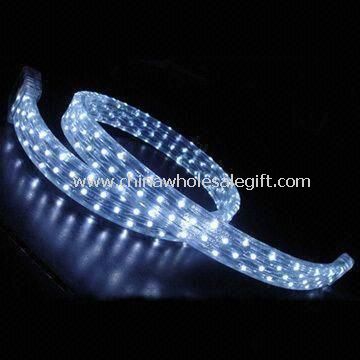 LED Rope Light with 12/24/110/240V Input Voltage