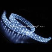 LED Rope Light with 12/24/110/240V Input Voltage images