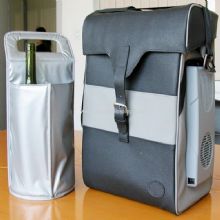 Thermoelectric Cooler Bag images