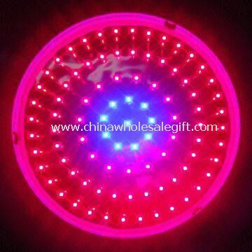 150W Red/Blue LED Grow Light, Used for Plant Growing