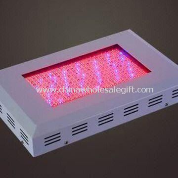300W LED Grow Light with Luminous Flux of 11,500lm