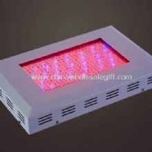 300W LED crece la luz con flujo luminoso de 11, 500lm images