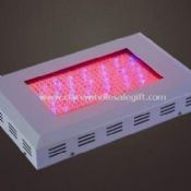 300W LED Grow lys med lysstrøm på 11, 500lm images