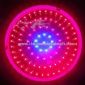 150W Red/Blue LED Grow Light, Used for Plant Growing small picture