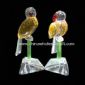 Burung warna Crystal tersedia dalam berbagai warna small picture