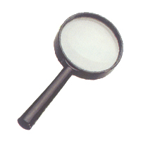 Straight Handle Magnifier