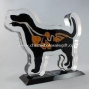 Acrylic paperweight and signboard images