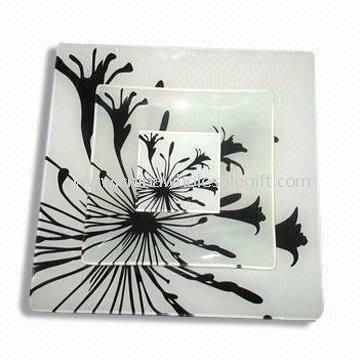 Glass Plate and Coaster Dinner Set