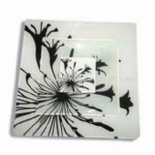Glass Plate and Coaster Dinner Set images