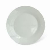 Stoneware or Porcelain Dinner Plate images