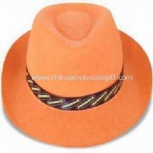 Chapeau de Cowboy en cachemire/Paillette images