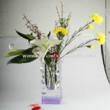 Kristall vase images