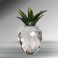 Cristal Pinapple fructe small picture