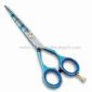 Hair/Baber Scissor Made of Chinese SUS440C Stainless Steel small picture