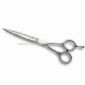 Professional Shear Hair Scissor, Comfortable, Beautiful and can be Used Legerity small picture