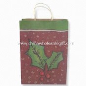 Paper Promotional Bag with Pictures on Both Sides images