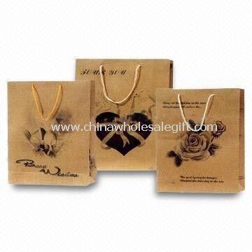 Paper Carry Bag, Made of Craft Paper, Available in Various Sizes