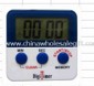 ABS Digital Timer small picture