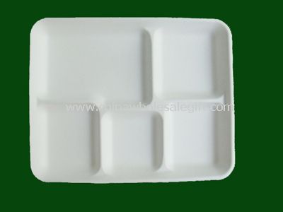 Dispostable School Lunch Tray