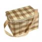 Insulated Lunch Box small picture