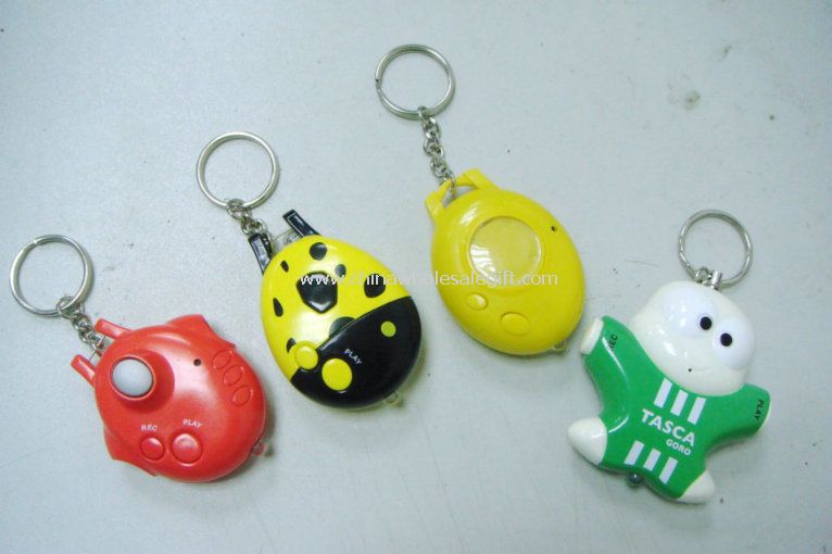 Zvuk/blikání/zapisovatelných Keychain