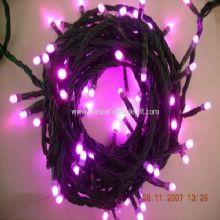 Funkeln-LED String Light images
