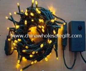LED Twinkle Light for Indoor and Outdoor Lighting