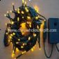 LED Twinkle Light for Indoor and Outdoor Lighting small picture