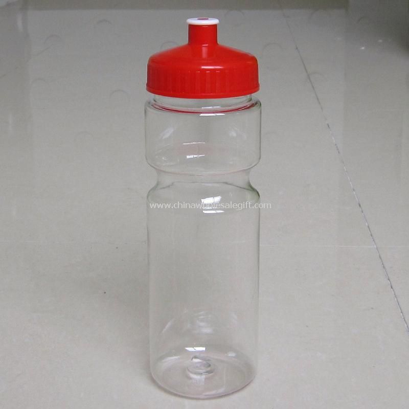 زجاجة مياه PC/تريتان 600 مل