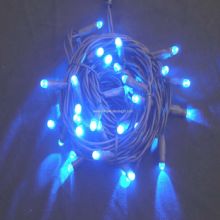 220v LED String Light images