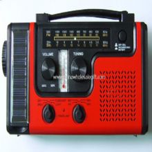 Solar Dynamo Radio with flashlight images