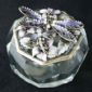Libellula Trinket Box anti-in ottone con resina epossidica e Base cristallo small picture