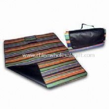 Picknick-Matte, hergestellt aus Polyester und PEVA images