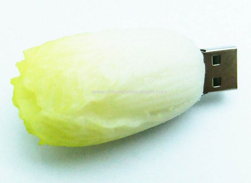 الخضروات قرص فلاش USB