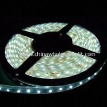 Waterproof with silicone tubing 3528 SMD LED flexible light strip images