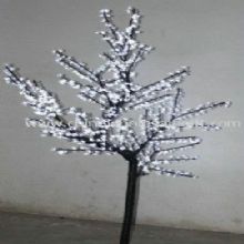 Cahaya putih LED pohon images