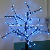 Blå LED træer lys images