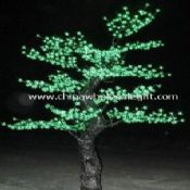 LED træer lys images