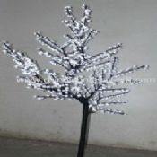Fény fehér LED fák images