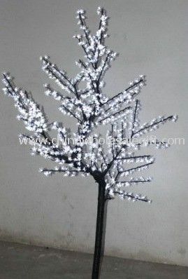 Beyaz LED ağaçlar ışık