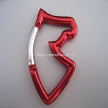 House Head Carabiner images