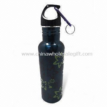 Single Wall Sports Water Bottle with 650mL Capacity