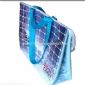 alumimun foil lining Cooler Bag small picture