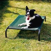 Dog beds images