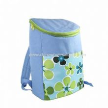 Polyester shoulder Cooler Bag images